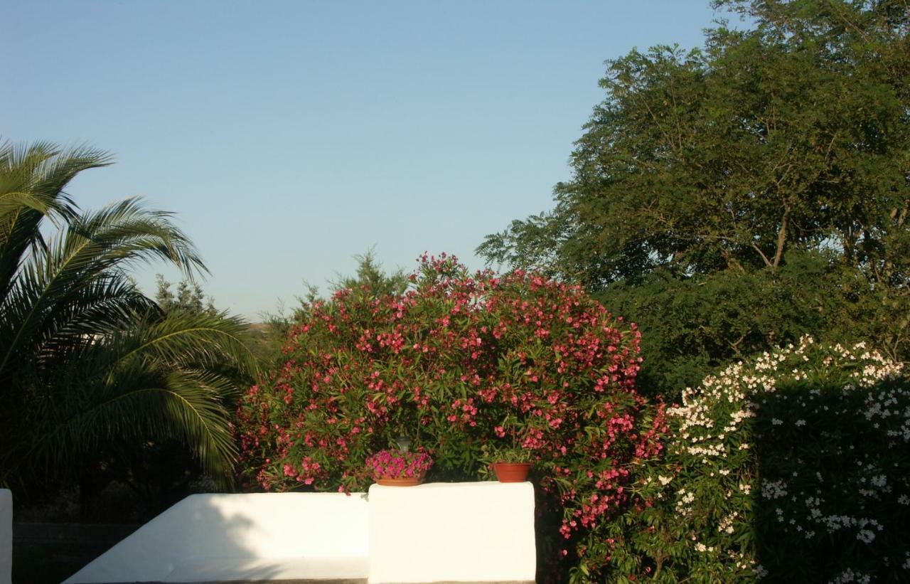 Locanda Del Pescatore Apartment Palmadula Exterior foto